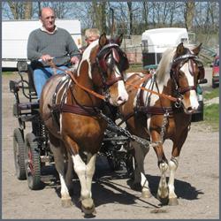 2spand seler til ponier - Brun